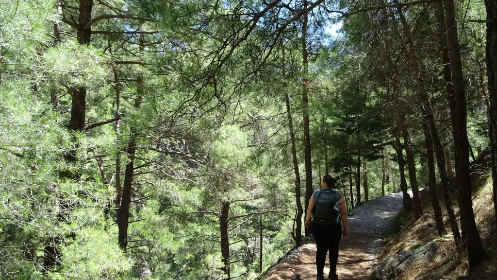 Samaria Gorge Greece Crete Walk hike