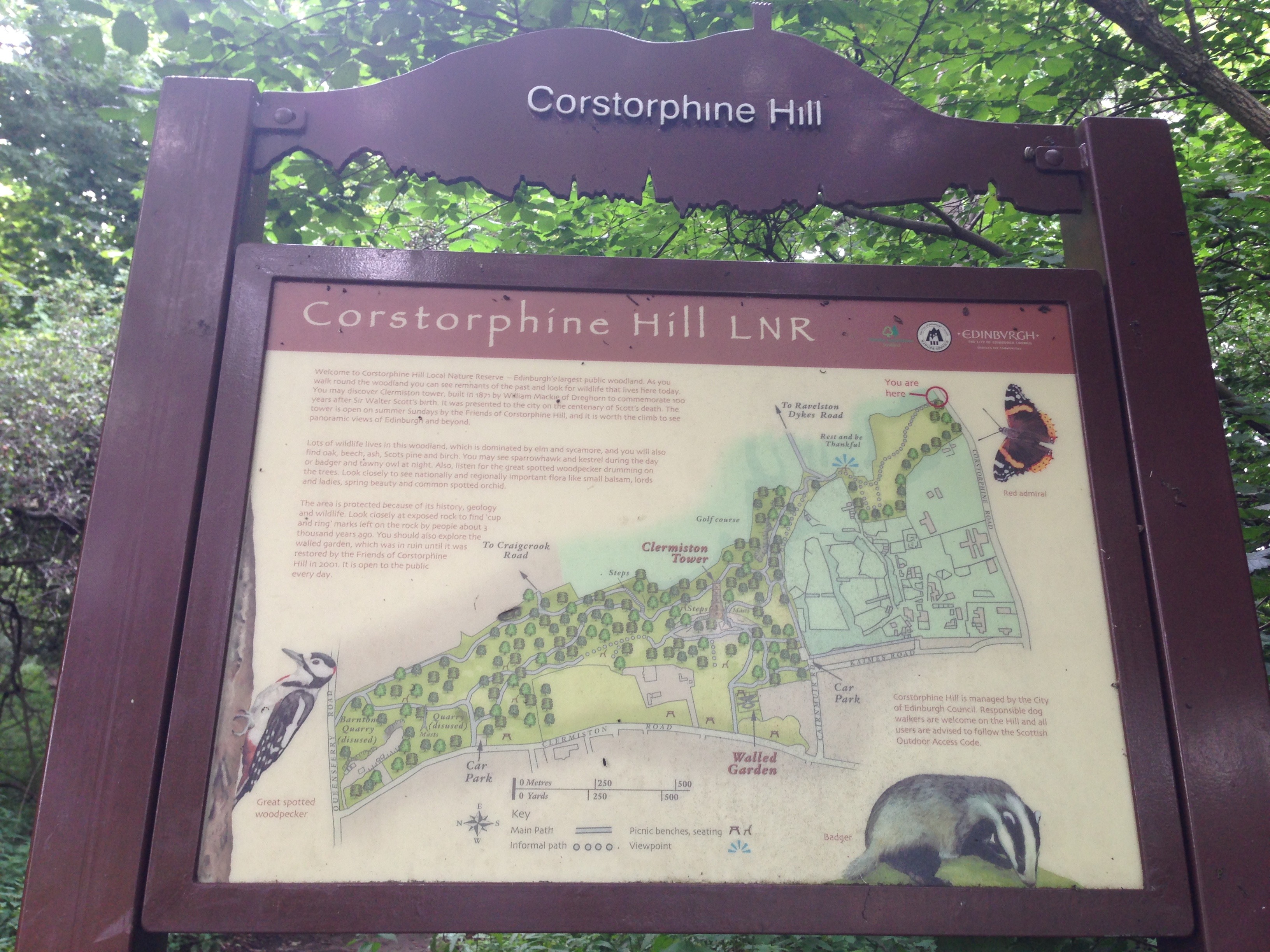 Corstorphine Hill Walk Map 5 Reasons Why I Love Corstorphine Hill In Edinburgh - Wild Lovely World