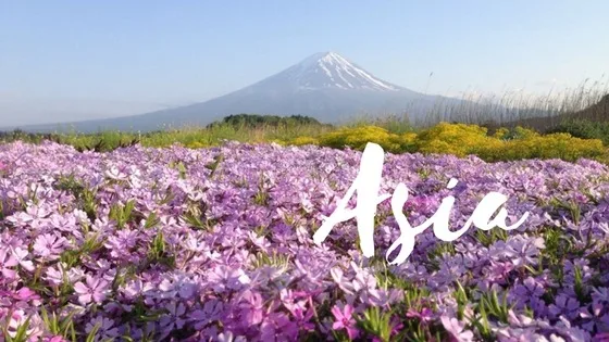 asia blog post destination category wild lovely world travel blog