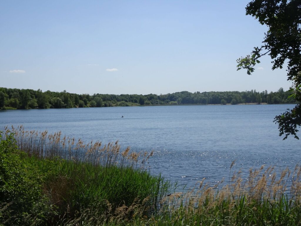 Kulkwitzer See lake near leipzig germany