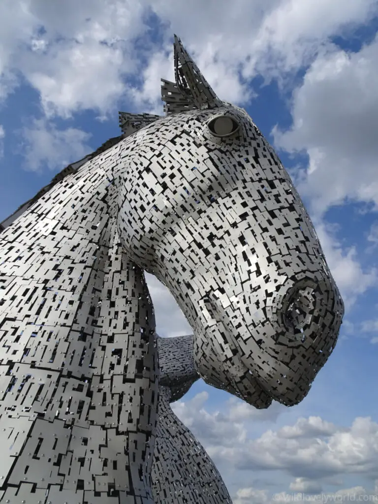 close up view of the head down kelpie horse head sculpture in falkirk scotland