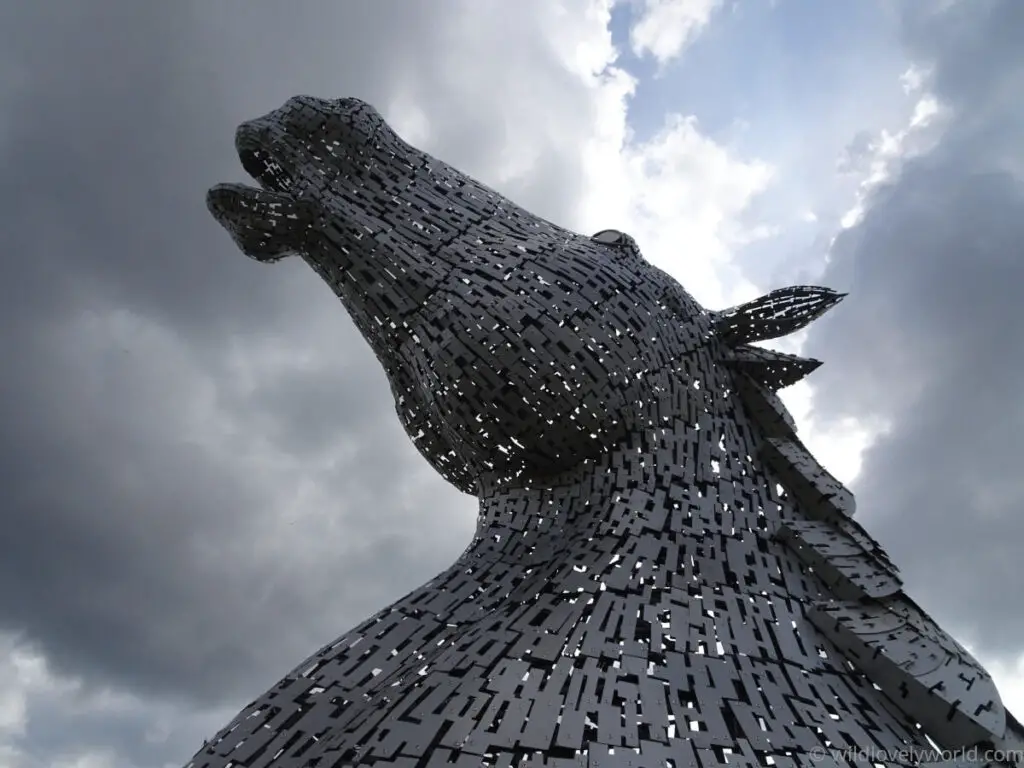 close up view of the head up kelpie horse head sculpture in falkirk scotland