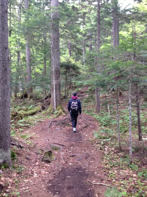 man walking through forest