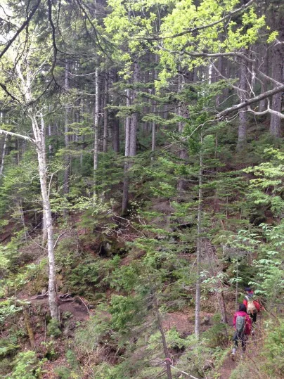 descending mount meakan