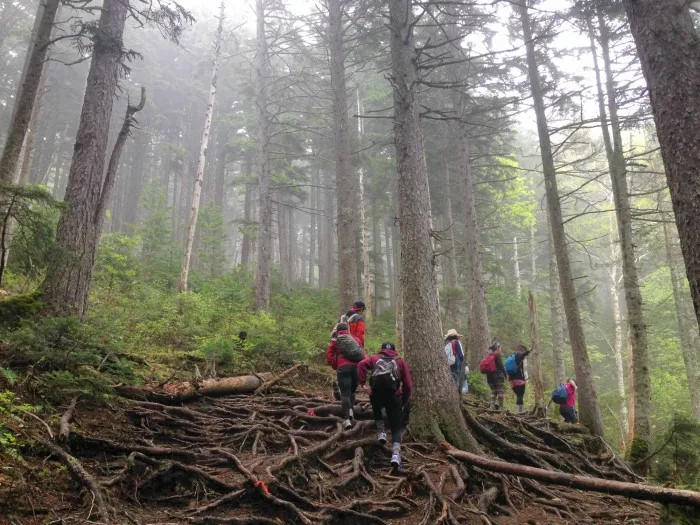 group hiking mount meakan in hokkaido japan
