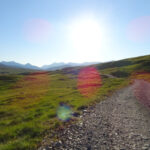 path in scottish highlands corrour loch treig
