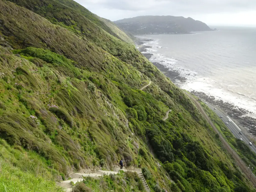 escarpment track towards pukerua bay