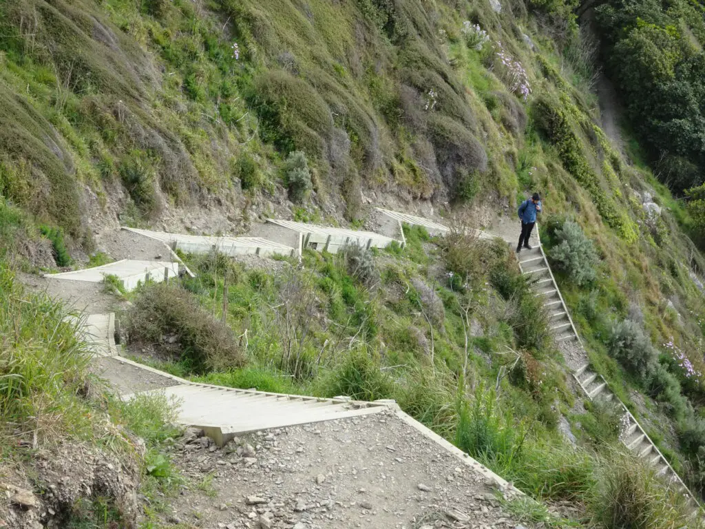 steps paekakariki escarpment track