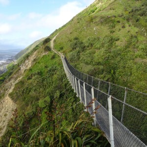 swing bridge paekakariki escarpment track