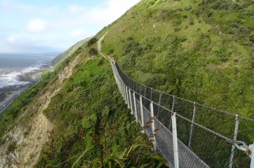 swing bridge paekakariki escarpment track