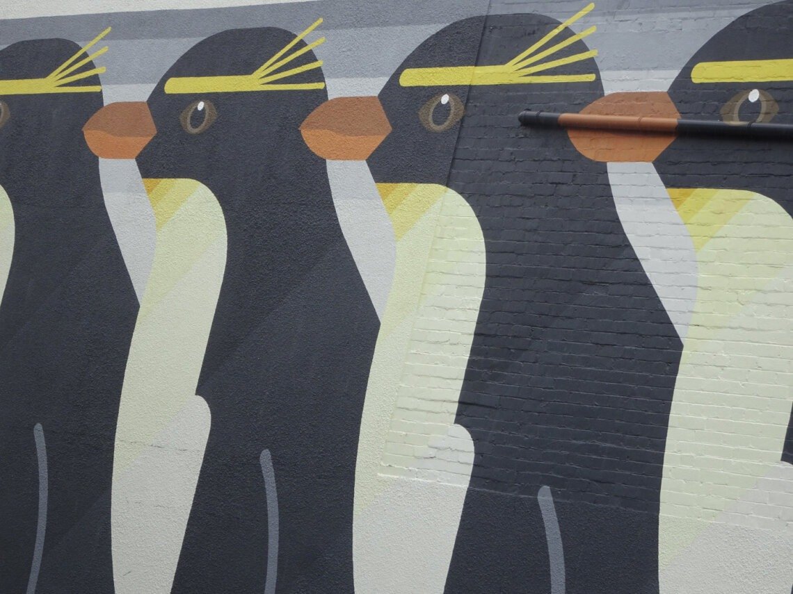 emperor penguin street art repeating pattern in whanganui