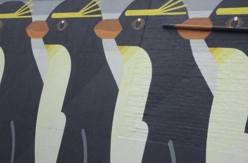 emperor penguin street art repeating pattern in whanganui