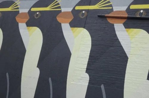 emperor penguin street art repeating pattern in whanganui