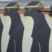 emperor penguin street art repeating pattern in whanganui