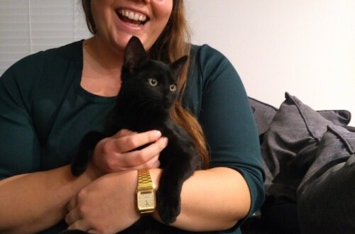lauren smiling holding black cat sitting become a cat sitter