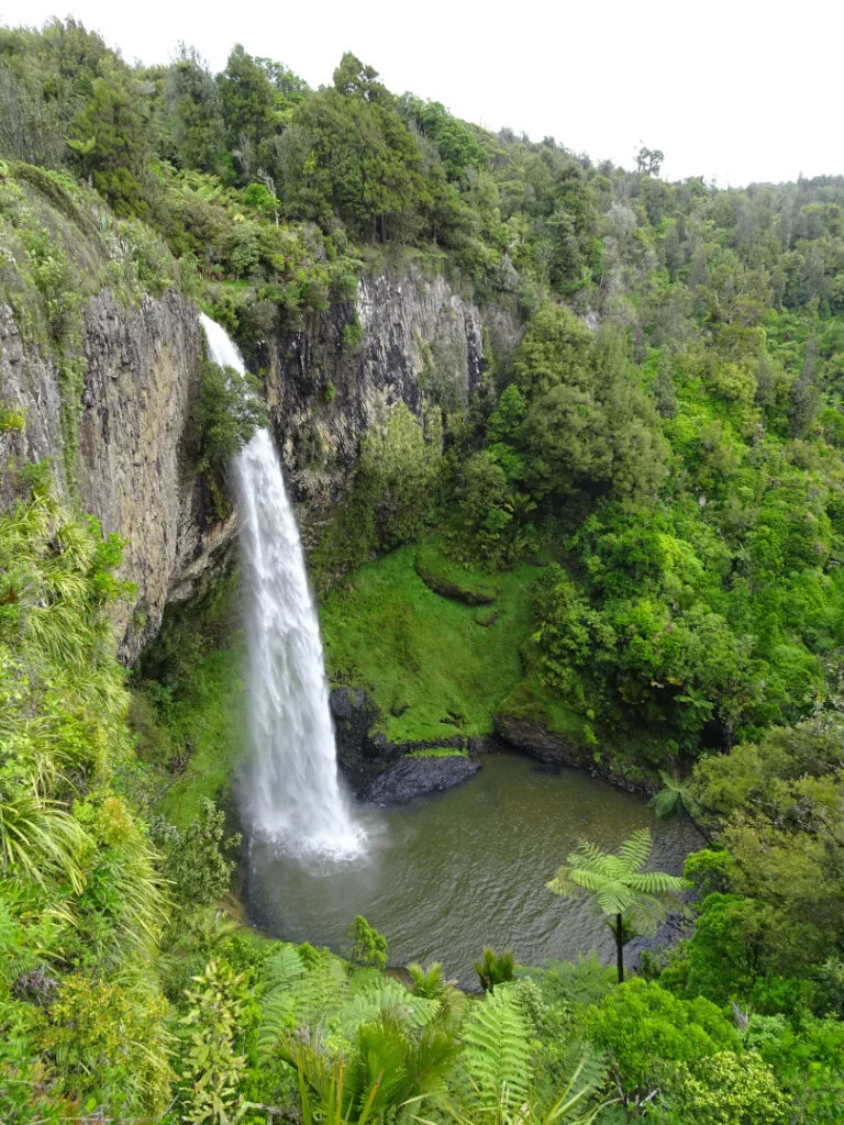 bridal veil falls near raglan in new zealand