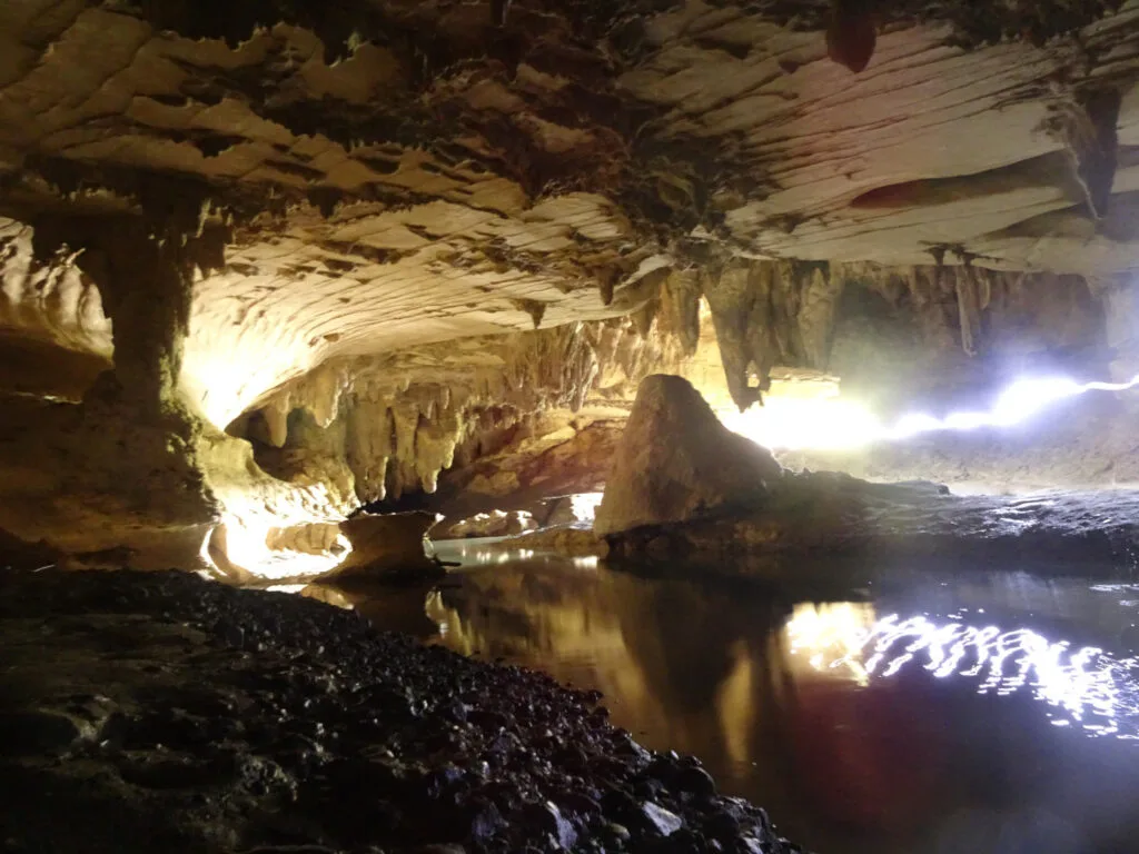 inside waipu cave northland new zealand