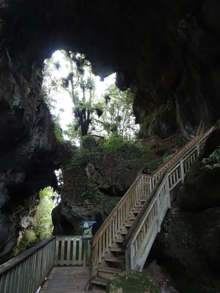mangapohue natural limestone bridge north island new zealand