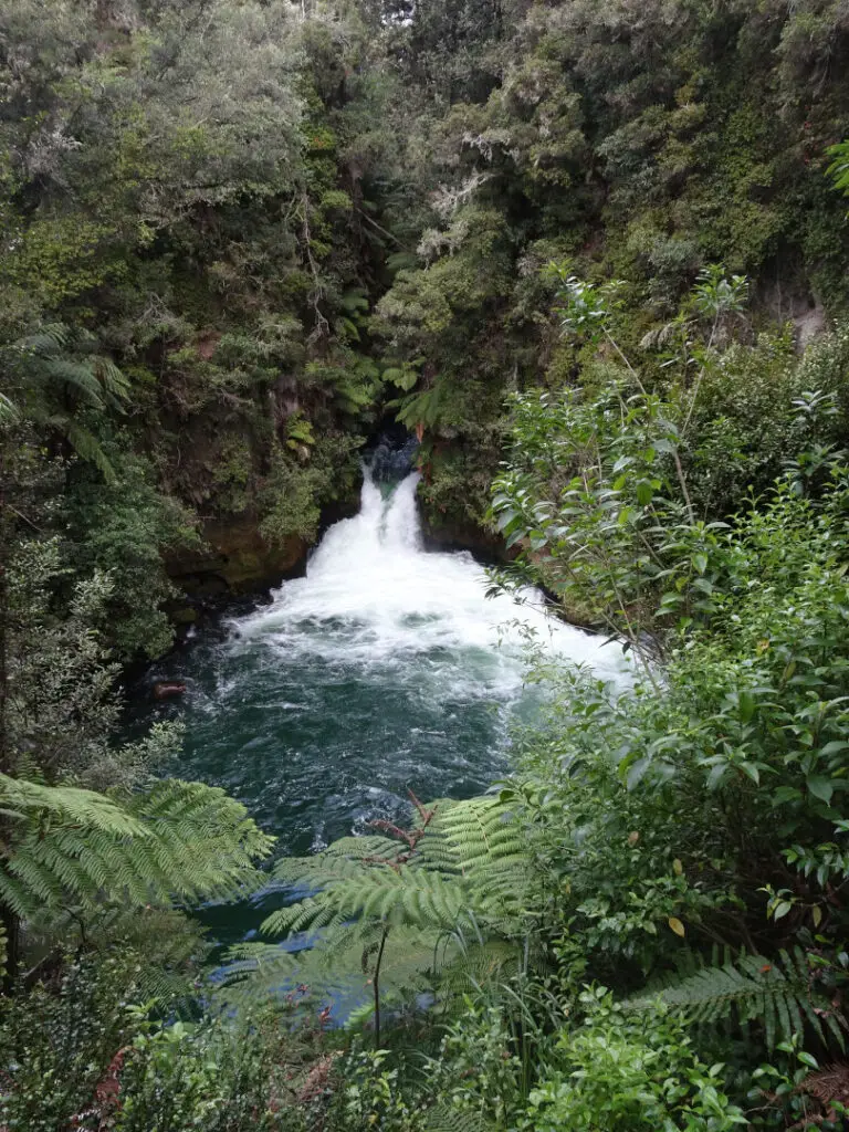 tutea falls north rotorua rafting waterfall new zealand