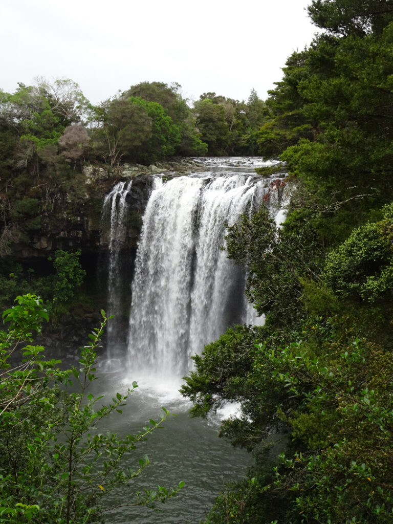 rainbow falls northland new zealand