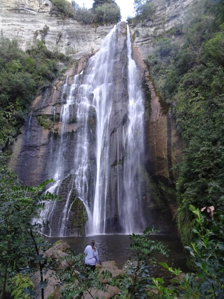 shine falls waterfall hawkes bay north island new zealand