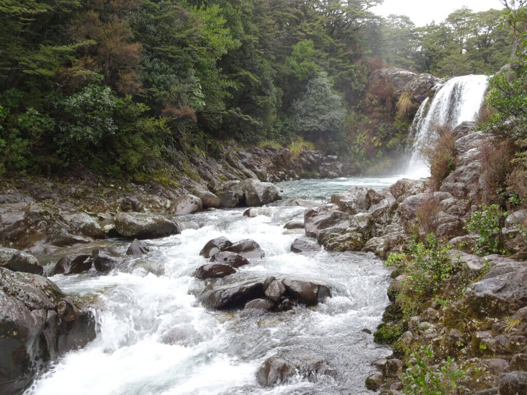 tawhai falls gollums pool lord of the rings film location whakapapa village tongariro national park