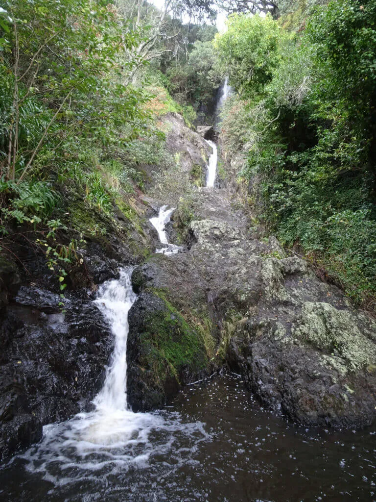 wairere falls whakatane