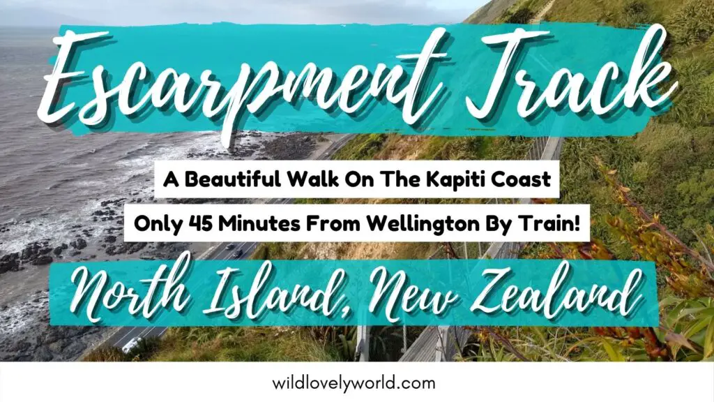 escarpment track day walk kapiti coast