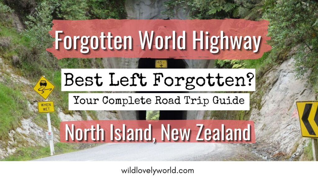 forgotten world highway complete road trip guide north island new zealand
