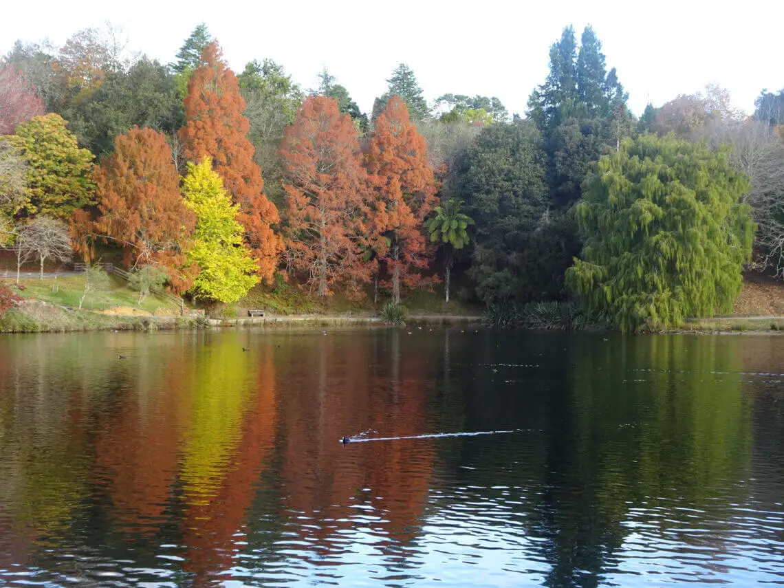 mclaren falls park lake in autumn