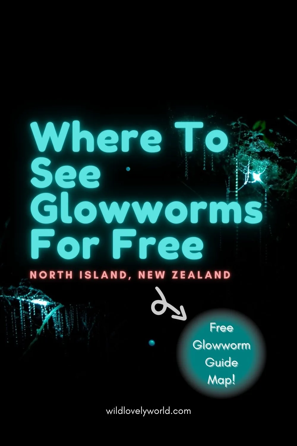 where to see glowworms for free in the north island new zealand - wild lovely world