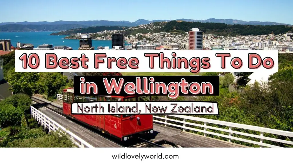 10 best free things to do in wellington north island new zealand