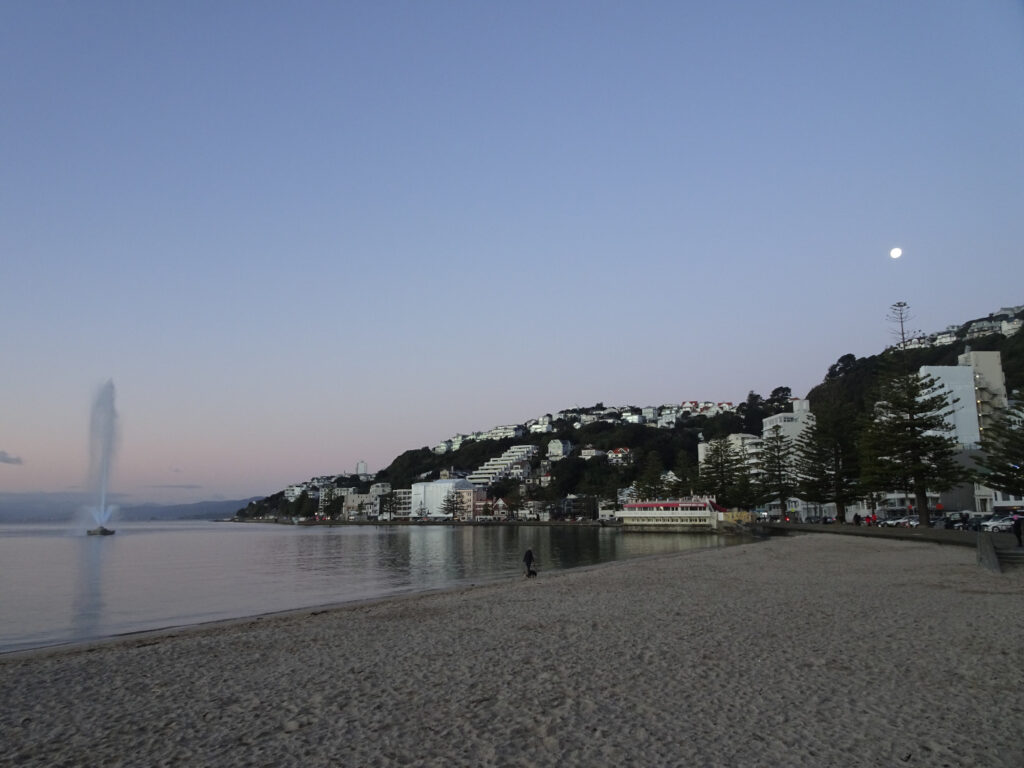 oriental bay beach at twilight in wellington