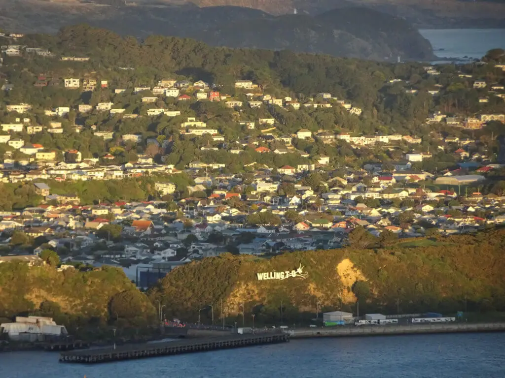 view of wellington sign and houses from the top of mount victoria