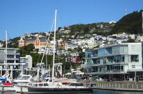 view of boats and houses on hills at the waterfront wellington
