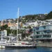 view of boats and houses on hills at the waterfront wellington
