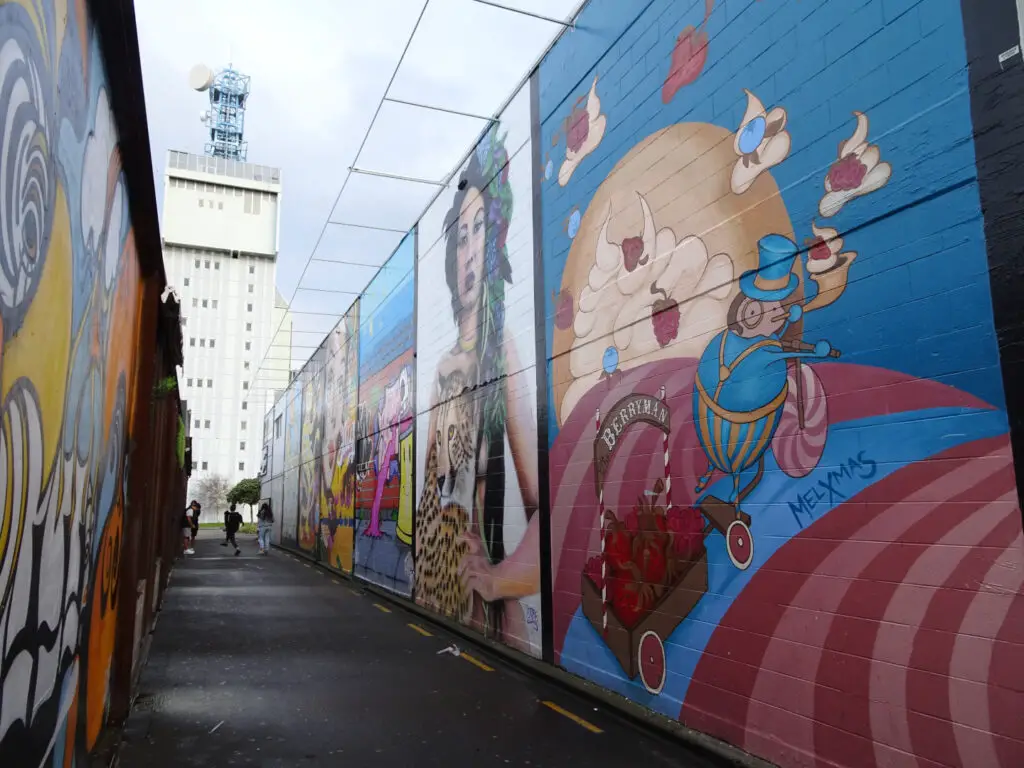 large scale murals on walls in an alleyway in palmerston north new zealand