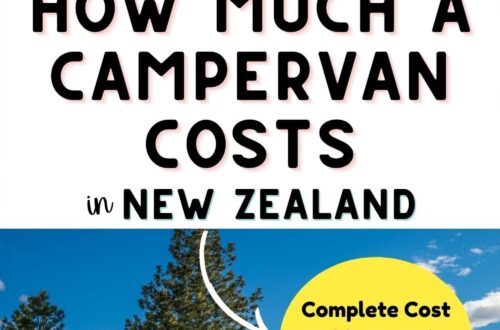 how much a campervan costs in new zealand