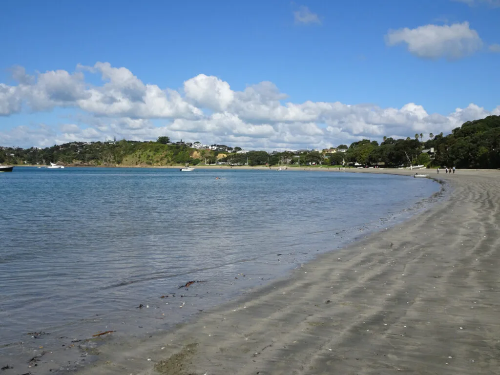 big oneroa beach on waiheke island