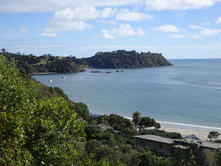 10 Best Beaches On Waiheke Island & What To Do There – Wild Lovely World