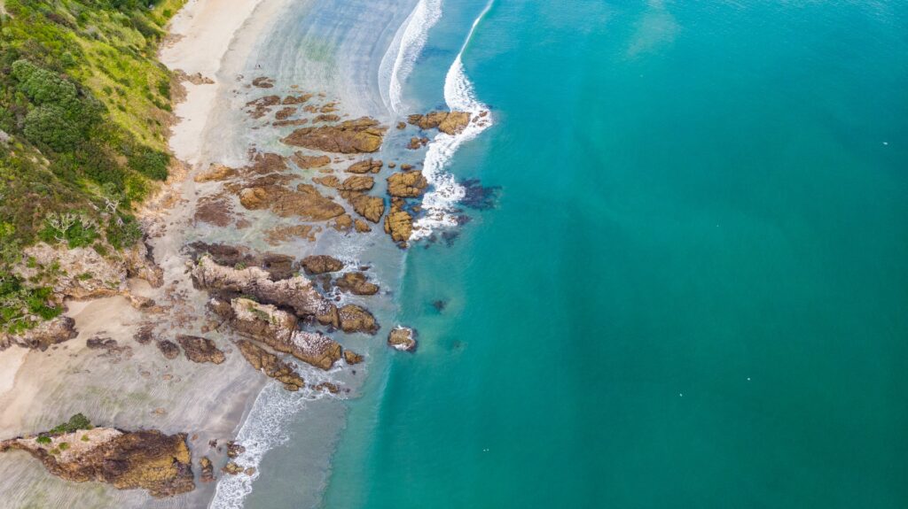 waiheke island beaches auckland new zealand