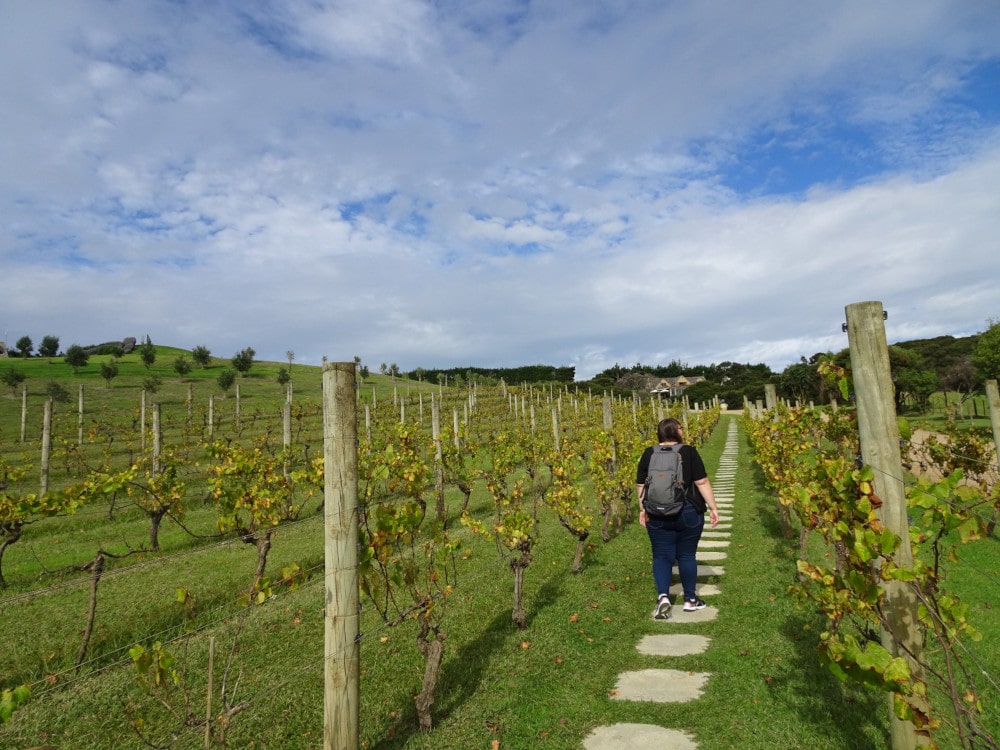 lauren exploring vineyards on waiheke island new zealand