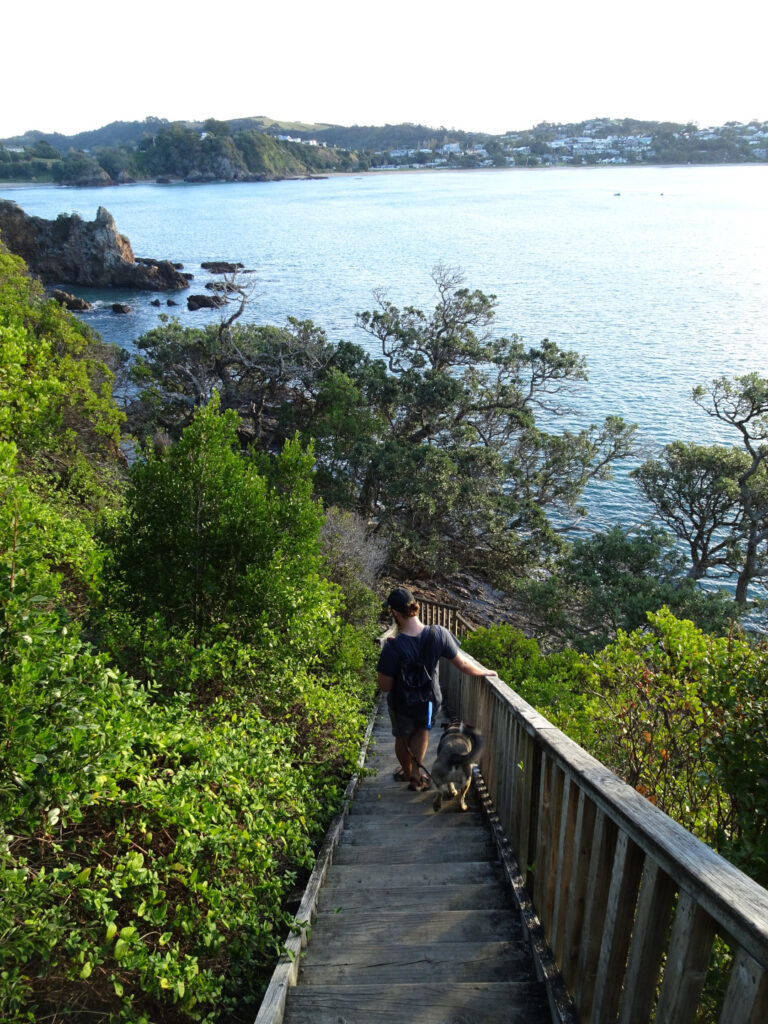 stairs leading the path to fishermans rock on waiheke island auckland new zealand