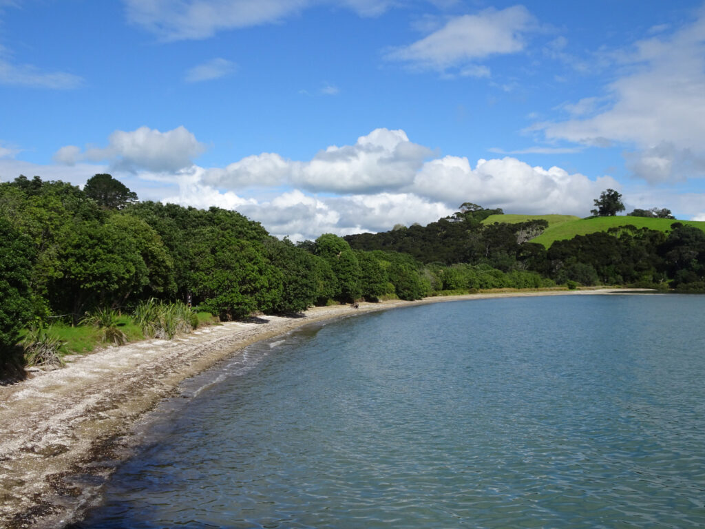 whakanewha regional park rocky bay beach waiheke island