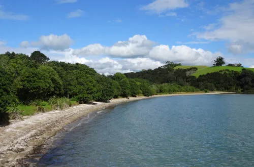 whakanewha regional park rocky bay beach waiheke island