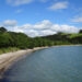 whakanewha regional park rocky bay beach waiheke island