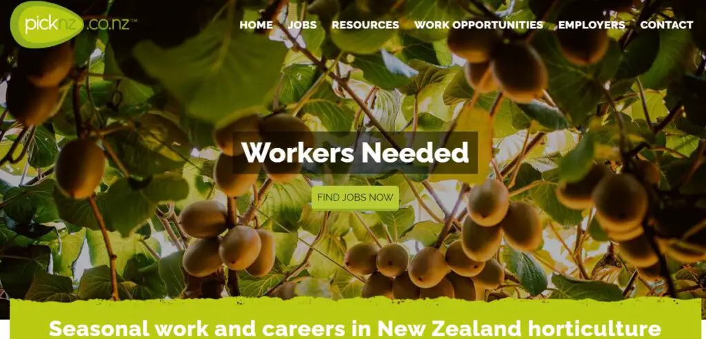 picknz horticulture and fruit picking and packing jobs in new zealand