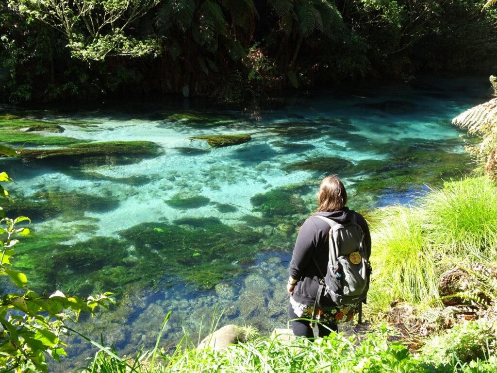 lauren viewing putaruru blue spring in north island new zealand