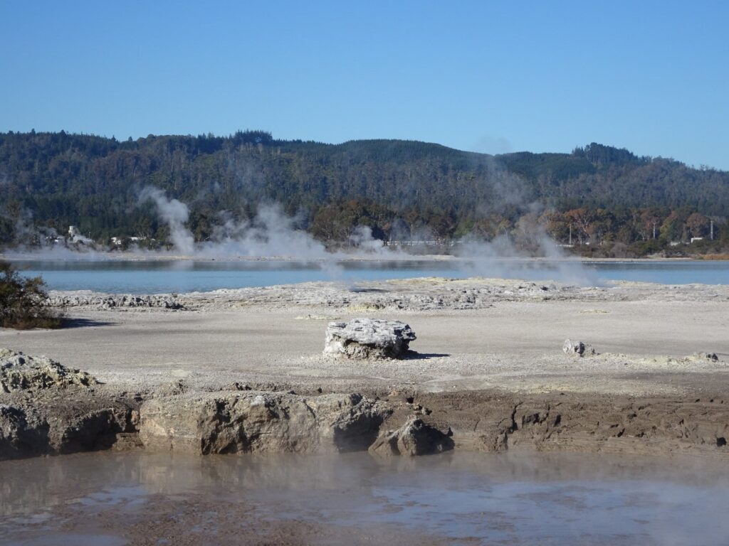 sulphur point lake rotorua