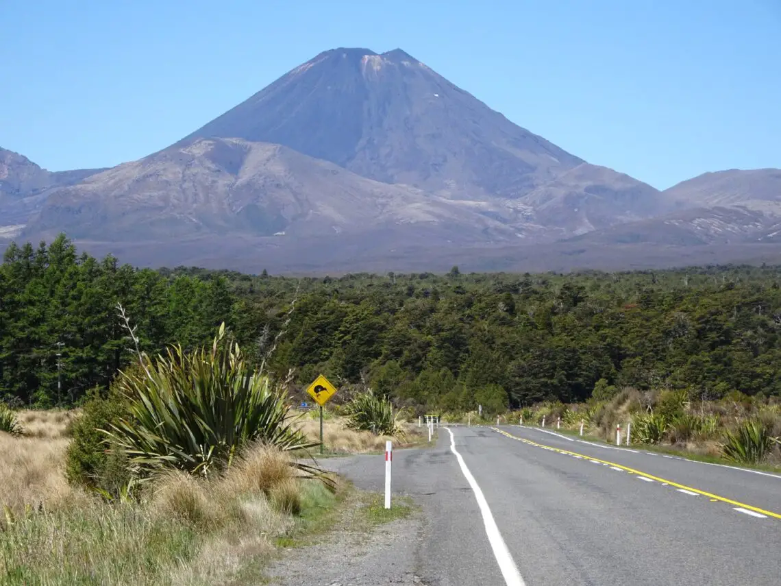 mount ngauruhoe and kiwi road sign in tongariro national park highway - 10 unmissable experiences in the north island new zealand